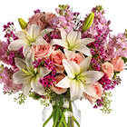 Blossoming Romance