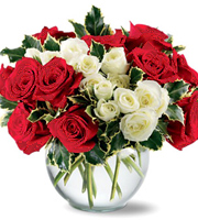 Holiday Enchantment Roses