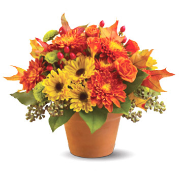 - Sugar Maples Bouquet