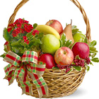 Warmest Wishes Holiday Fruit Basket