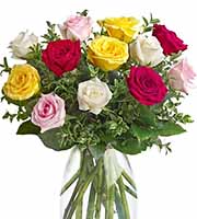 One Dozen Mixed Roses