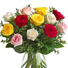 One Dozen Mixed Roses