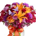 Butterfly Blooms Bouquet