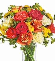 Citrus Kissed Roses and More
