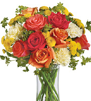 Citrus Kissed Roses and More