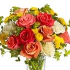 Citrus Kissed Roses and More