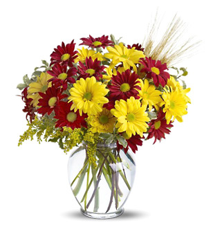 Fall Daisies Bouquet