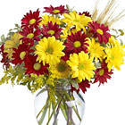Fall Daisies Bouquet