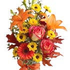 Burst of Autumn