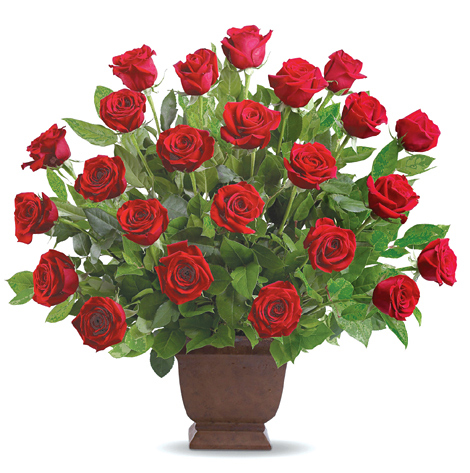 Loving Roses Sympathy Tribute