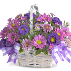 Daisy Daydreams Basket