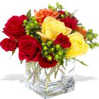 Carousel of Roses Cluster