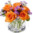 Orange Blossoms Cluster