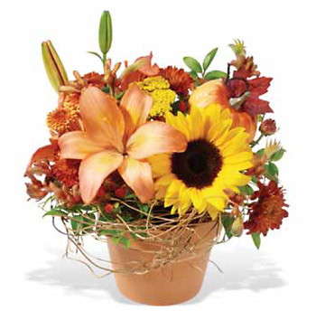 Pumpkin Patch Bouquet