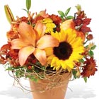 Pumpkin Patch Bouquet