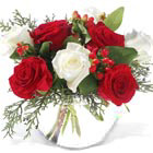 Christmas Roses Bowl