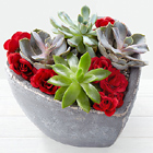 Succulent Heart Garden