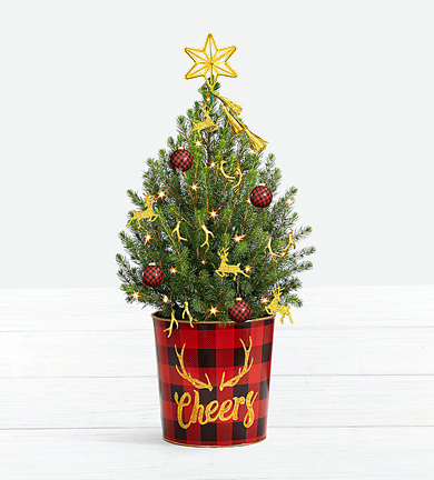 - Holiday Glam Spruce Tree