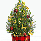 Holiday Glam Spruce Tree