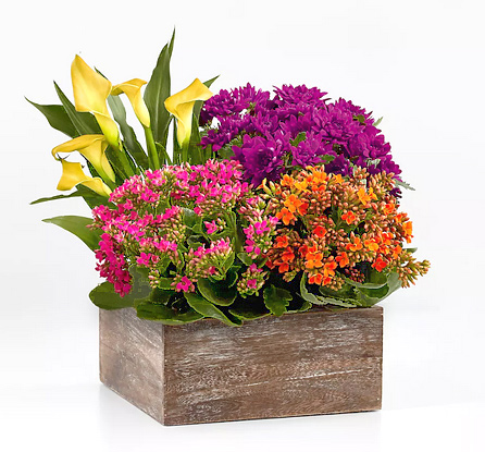 - Autumn Garden Planter