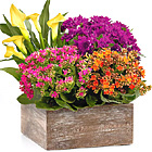 Autumn Garden Planter
