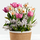 Fresh Mix Bulb Garden