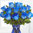 Extreme Blue Hues Fiesta Roses with Vase