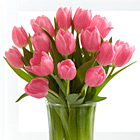 Pink Prelude Tulip Bouquet with Vase
