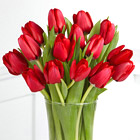 Red Carpet Ready Tulip Bouquet with Vase
