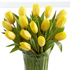 Sunshine''s Promise Tulip Bouquet with Vase