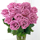 One Dozen Lavender Roses with Vase
