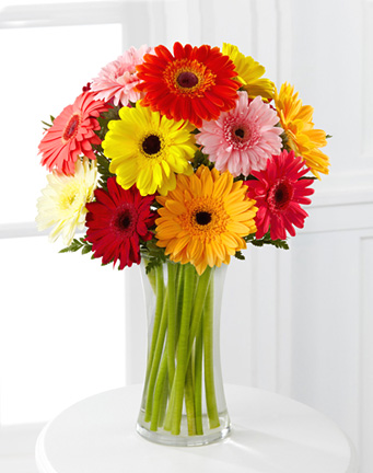 Colorful World Gerbera Daisies with Vase