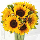 Endless Summer Sunflower Bouquet