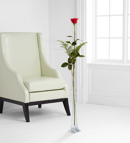 - Single Red 4 Ft. Ultimate Rose with Vase