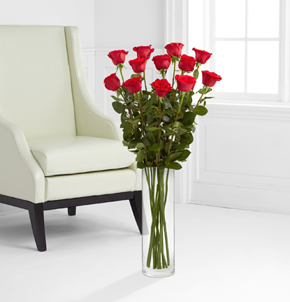 - One Dozen Red 3 Ft. Roses with Vase