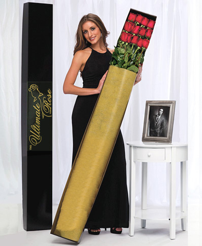 - One Dozen Red 5 Ft. Ultimate Roses