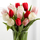 Here Is My Heart Tulip Bouquet with Vase