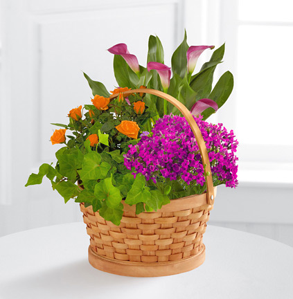 - FTD® Harvest Wishes Blooming Basket
