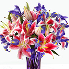 Belle of the Ball Bouquet