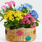 Colorful Flowering Market Garden