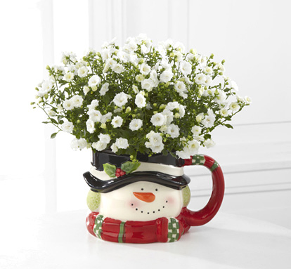 - Snowman Surprises Holiday Campanula Plant
