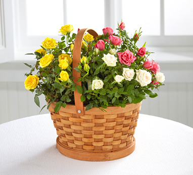 - Better Homes & Gardens Rose Garden Basket