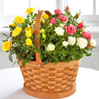 Better Homes & Gardens Rose Garden Basket