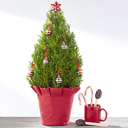 - Joys of Christmas Holiday Tree