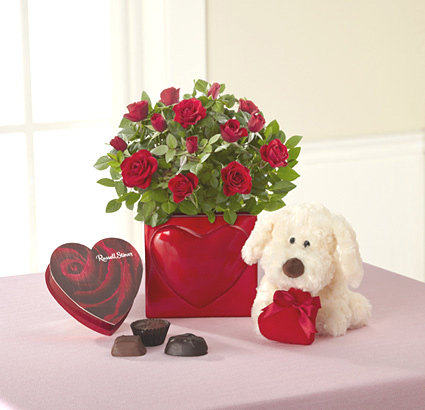 - Valentines Mini Rose with Chocolates and Plush Puppy
