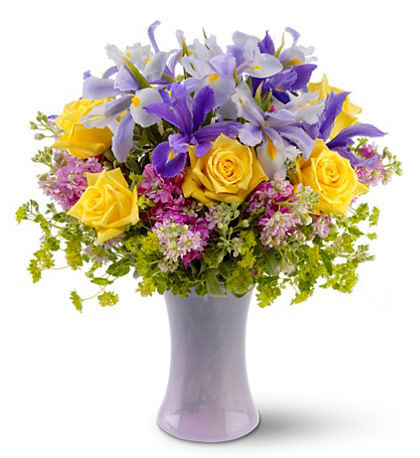 Lavender Sunshine Flowers