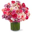 Free 'Get Well Soon' Virtual Flowers and Bear eCard at 800-Florals