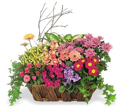 Euro Garden Virtual Bouquet