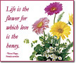 Life is the flower...