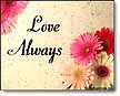 Love Always